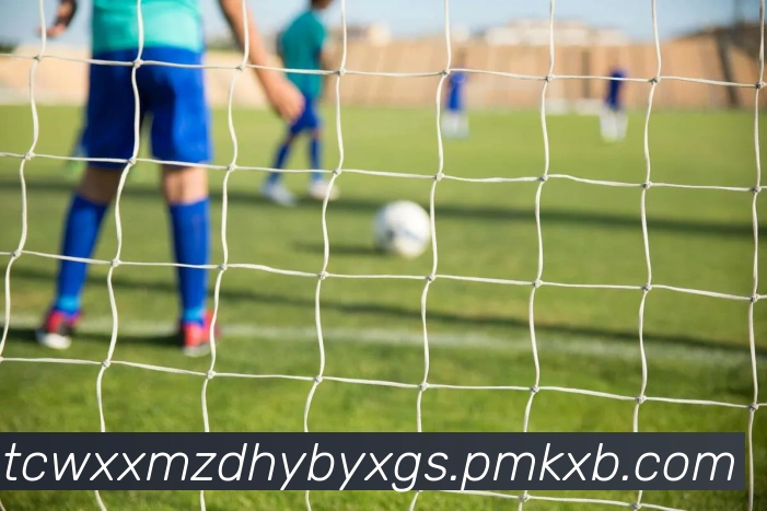 米兰，milan，milan.com，米兰·（milan）中国官方网站发展历程